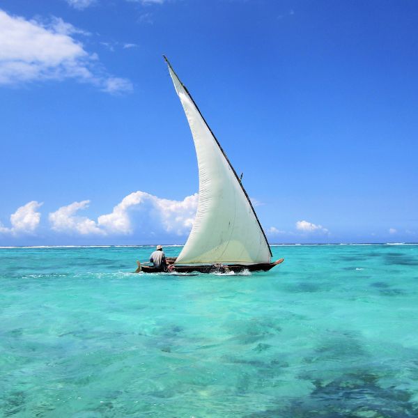 Safari Blue Tour – Zanzibar’s Ultimate Marine Adventure
